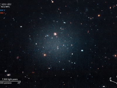 NGC 1052-DF4
