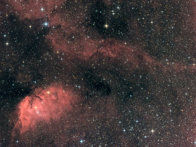 Tulip Nebula