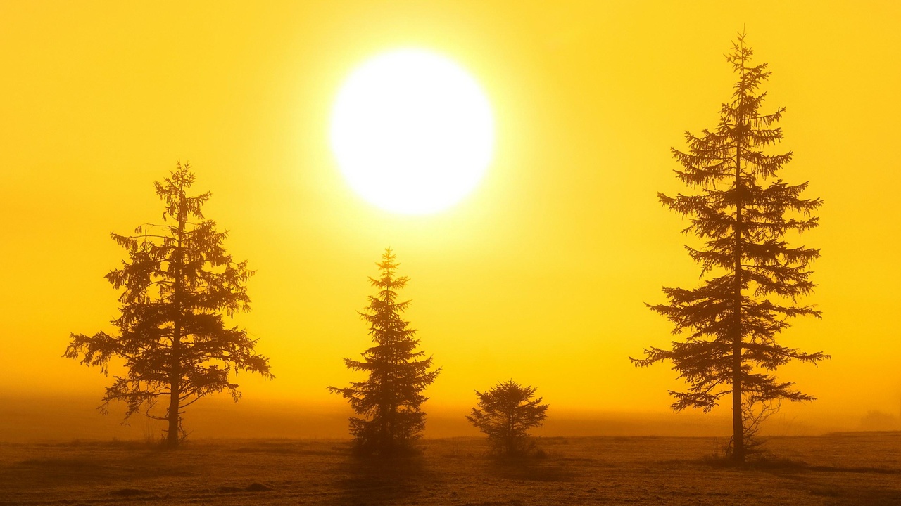 Collapsed terrestrial ecosystems and resilient deep-sea vent communities