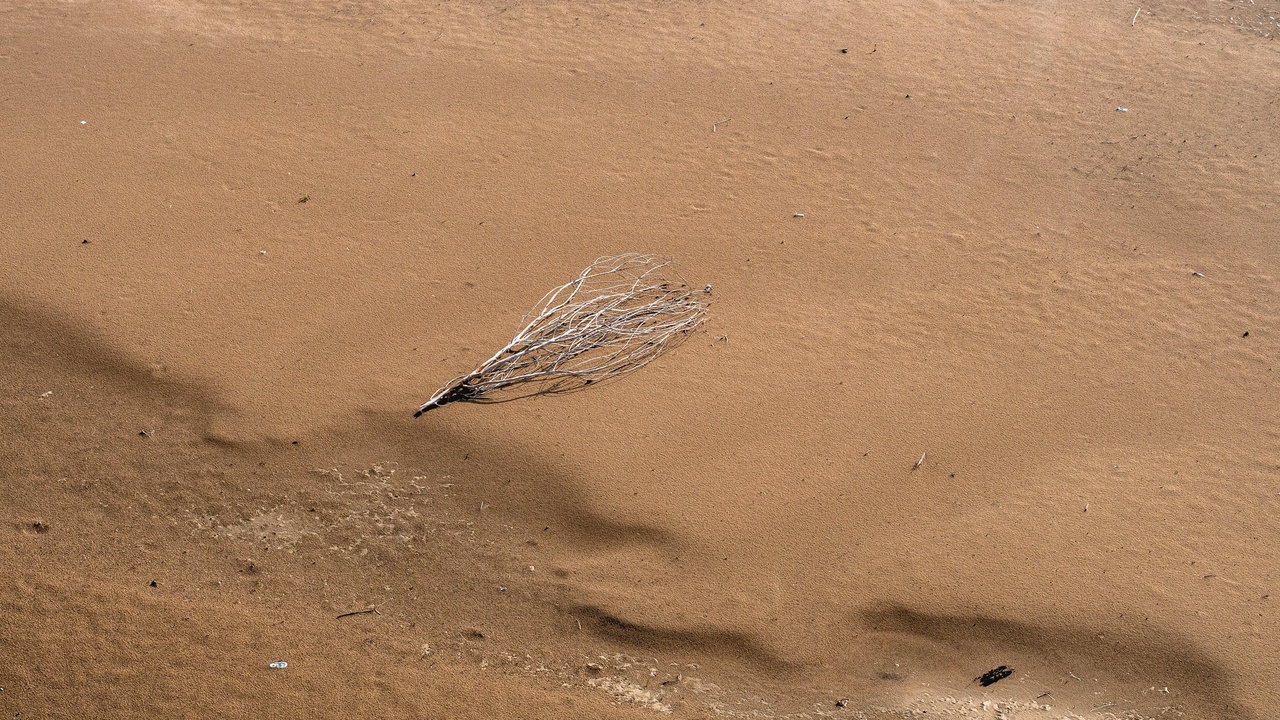 Concept art of Venus lander electronics and a high-altitude balloon aerobot