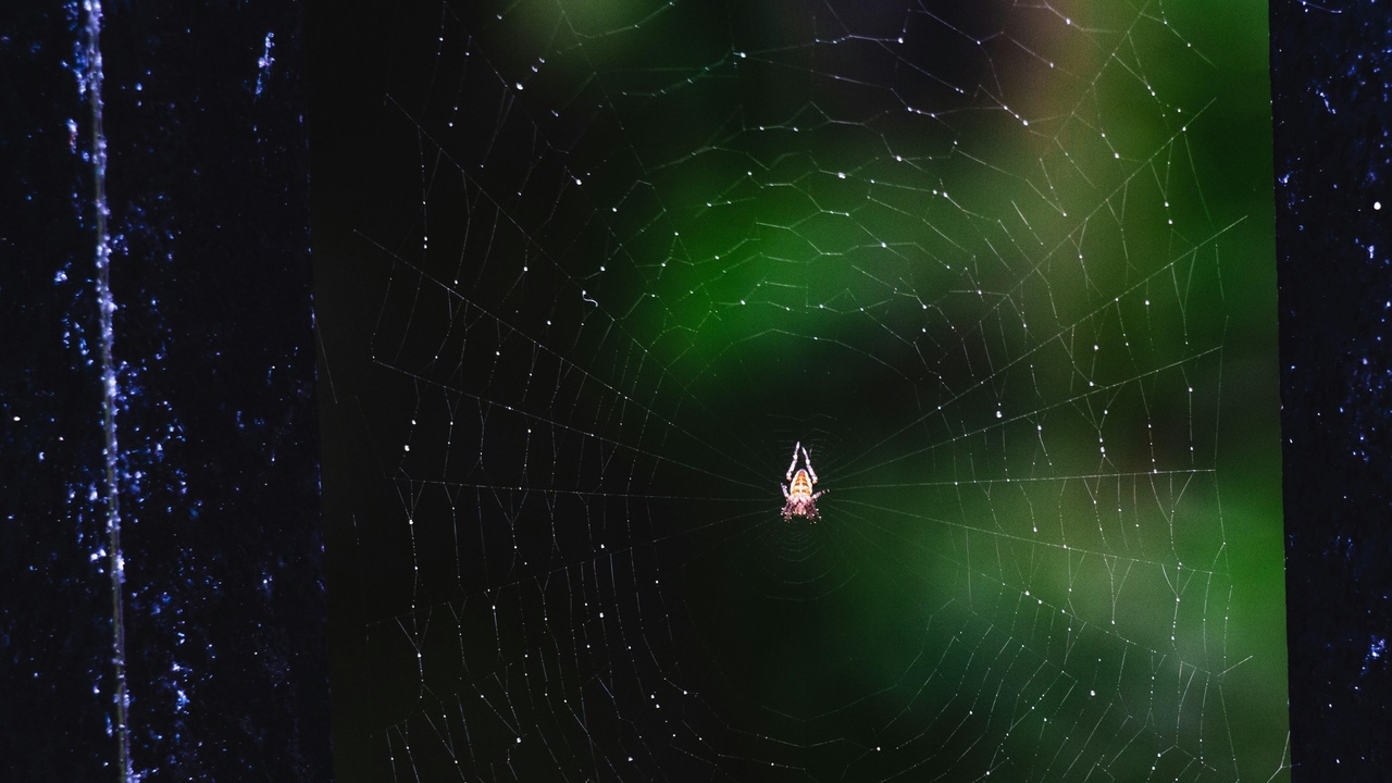 Large-scale structure simulation showing filaments and clusters relevant to testing cosmological models