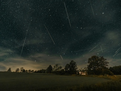 Perseids