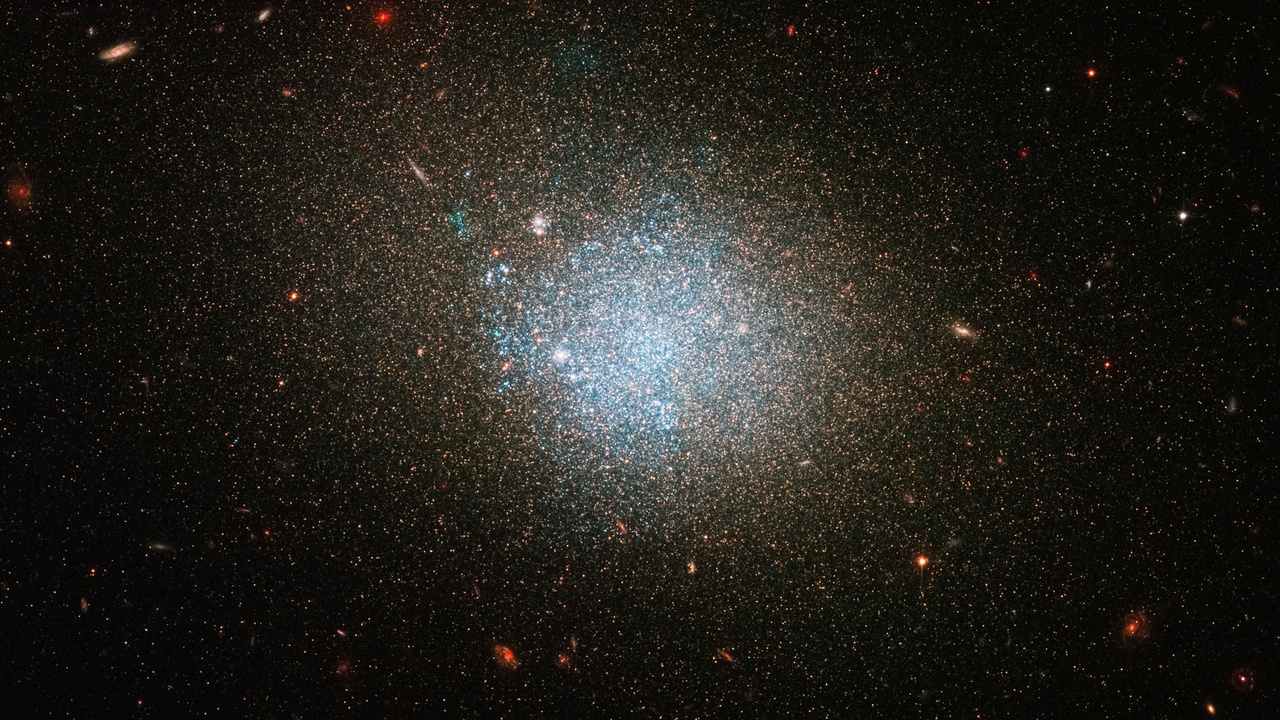 Dwarf galaxies and ring galaxies such as the Cartwheel illustrated