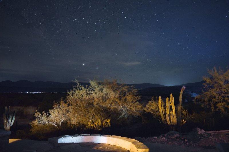 A breathtaking night sky over a desert landscape with cacti and distant hills, illuminated by starlight.