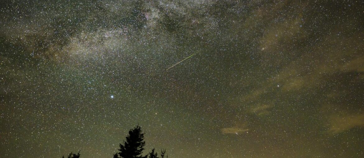 A meteor streaks across the Milky Way above a line of spruce trees during the Perseid meteor shower