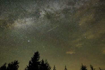 A meteor streaks across the Milky Way above a line of spruce trees during the Perseid meteor shower