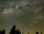 A meteor streaks across the Milky Way above a line of spruce trees during the Perseid meteor shower