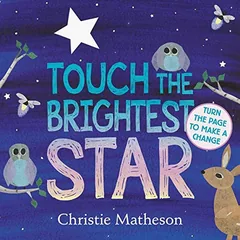 Cover of Touch the Brightest Star